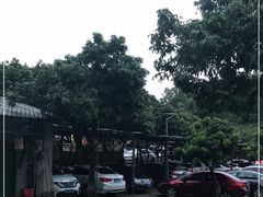 -满記土窑烧鷄波浪山莊