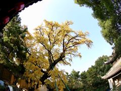 -无锡惠山寺