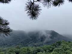 -玉渡山自然风景区