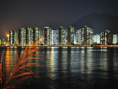 -大埔公路-马料水段香港中文大学(公交站)