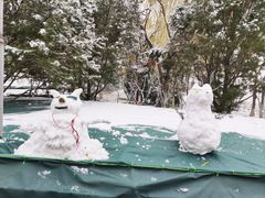 -大兴滨河森林公园