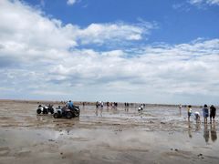 -刘家湾赶海园