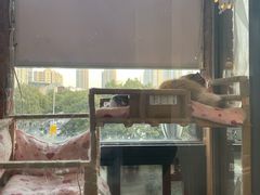 -月迷津渡(吾悦国际店)