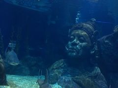 -暹罗海洋世界