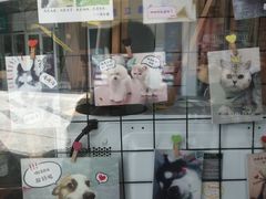 -1013 PET SHOP 宠物商店(近铁城市广场店)
