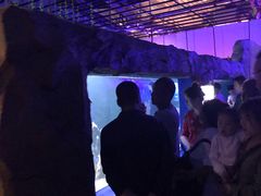 -白鹿仓冰雪海洋世界