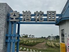 -空港花田景区