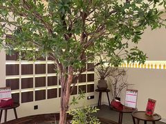 -静耳元気采耳·按摩·SPA(万象前海店)