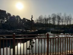-合肥野生动物园