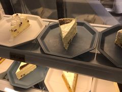 -有猫主题·治愈系猫咖(曾厝垵店)