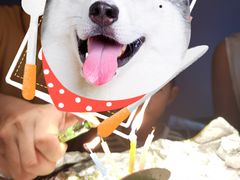 -白木炭·海鲜烧烤(东晓南店)