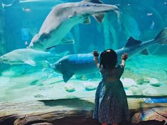 -华夏文旅海洋公园