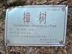 -上坦村