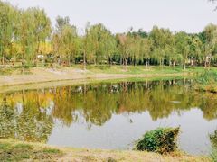 -东郊湿地公园