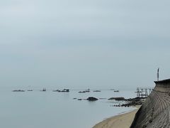 -北海金海湾红树林生态旅游区