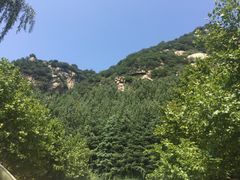 -沣峪鱼庄