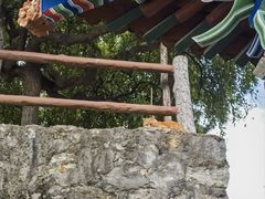 -终南山南五台景区