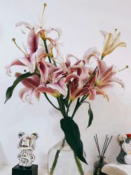 -美肤盾祛痘·问题肌头疗管理中心