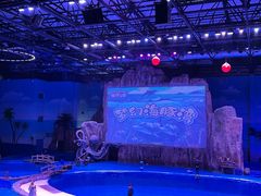 -华夏文旅海洋公园