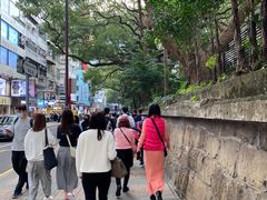 -九龙公园