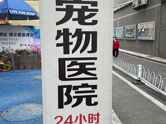 -特一安24小时宠物医院·骨科·中兽医
