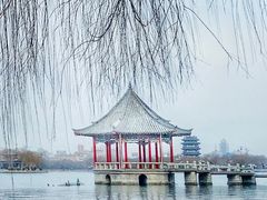 -济南大明湖景区