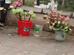 -大市小吃(金鑫花苑店)