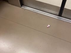 -王婆乔鲜鱼自助火锅(蜀汉路店)