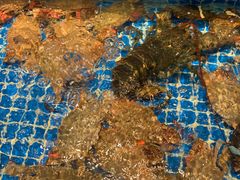 -锦色·烧鹅·海鲜(臻享店)