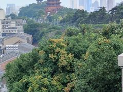 -黄鹤楼公园(黄鹤楼)