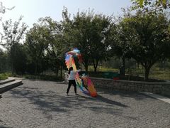 -东郊湿地公园