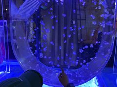 -海合安青岛极地海洋公园