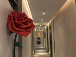 -香榭丽舍·海菲秀·皮肤管理痘敏肌修护