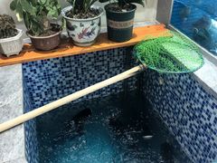 -全乐鱼馆·淳牌有机鱼直营店