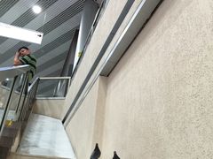 -谢列梅捷沃国际机场