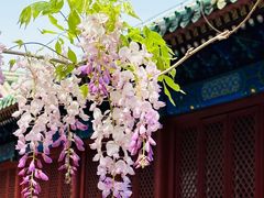 -孔庙和国子监博物馆
