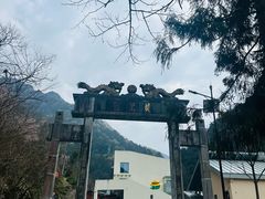 -安吉龙王山风景区