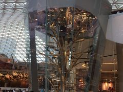 -视博茶点(美狮美高梅店)