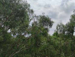 -爱丽馨御景月子中心