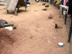 -鄂尔多斯野生动物园