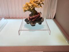-温州博物馆