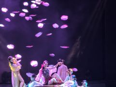 -南风大剧院莎梦二人转剧场