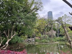 -柳侯公园