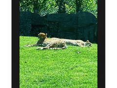 -北京野生动物园