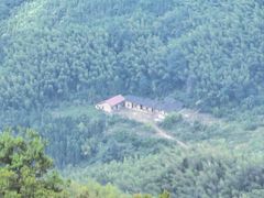 -大围山国家森林公园