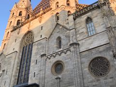 -斯蒂芬主教座堂(Stephansdom)