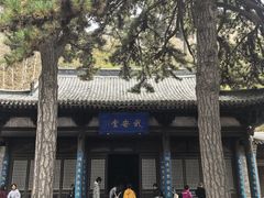 -雁门关景区