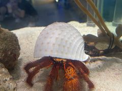 -太平洋海底世界