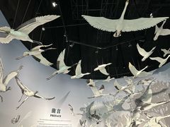 -中国湿地博物馆