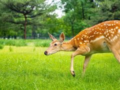 -承德避暑山庄景区